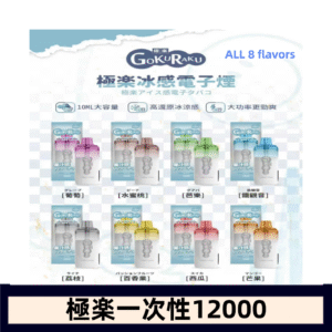 【8種口味】極楽 12000口一次性電子煙|超大容量 |口感絲滑|新品