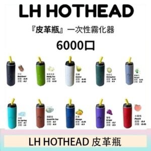 LH HOTHEAD皮革瓶電子煙可充電6000口一次性